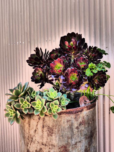 Andy\'s Accommodation - Accommodation Melbourne 13