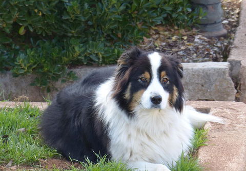 Andy\'s Accommodation - Accommodation Melbourne 17