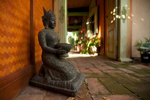The Lotus Eater - Accommodation Melbourne 7