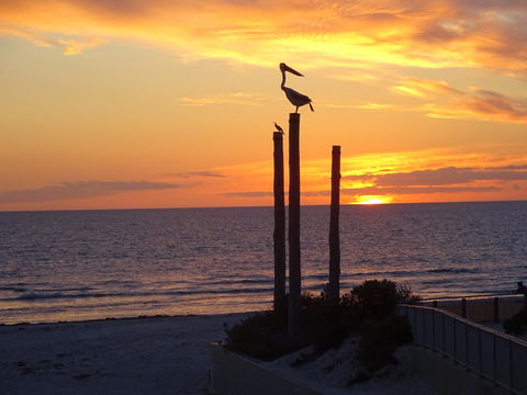 Aurora Holiday Apartment @West Beach - Accommodation Melbourne 12