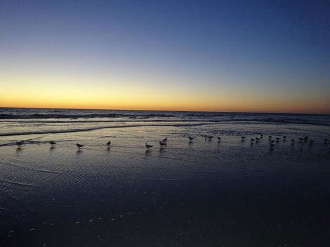 Aurora Holiday Apartment @West Beach - Accommodation Melbourne 14