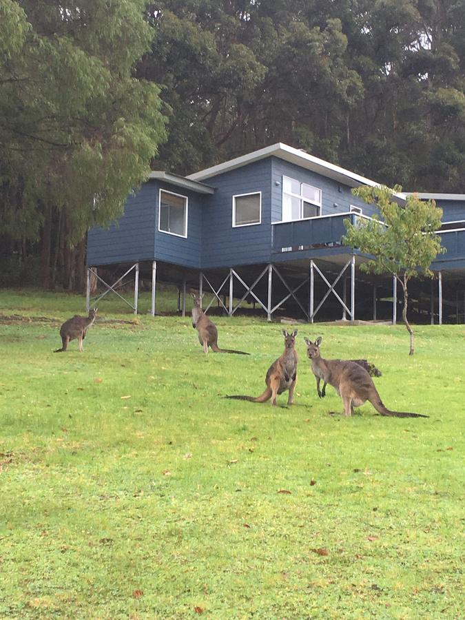  Accommodation Melbourne