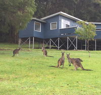 Blue House Denmark - Accommodation Melbourne