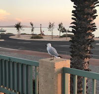 Shark Bay Seafront Apartments - Accommodation Melbourne
