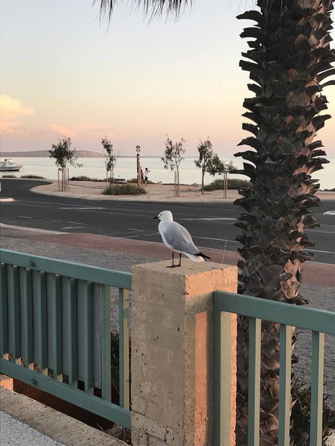 Shark Bay Seafront Apartments - Accommodation Melbourne 0