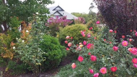 Glenelg On King Bed & Breakfast - Accommodation Melbourne 15