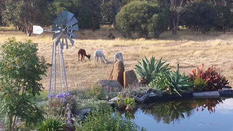 Glenelg On King Bed & Breakfast - Accommodation Melbourne 19