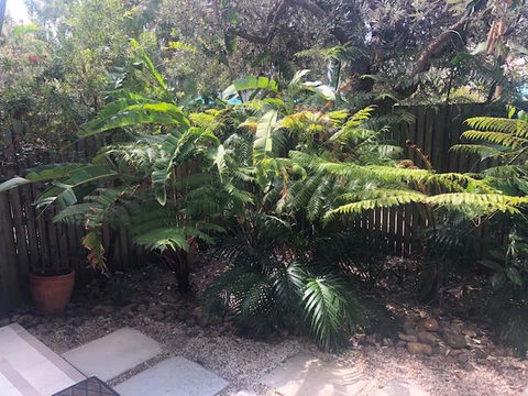 East On Byron - Accommodation Melbourne 40
