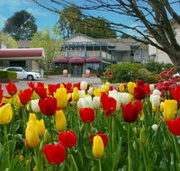 Nesuto Leura Gardens formerly Waldorf Leura Gardens Resort - Accommodation Melbourne