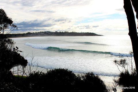 Mollymook Cove Apartments - Accommodation Melbourne 2
