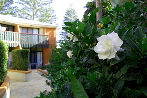 The Crest Byron Bay - Accommodation Melbourne 29