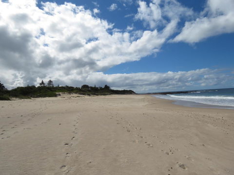 Sweet Spot Shellharbour - Accommodation Melbourne 15