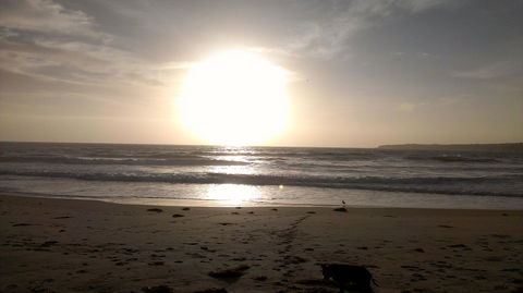 Sweet Spot Shellharbour - Accommodation Melbourne 16