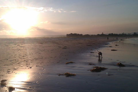 Sweet Spot Shellharbour - Accommodation Melbourne 12