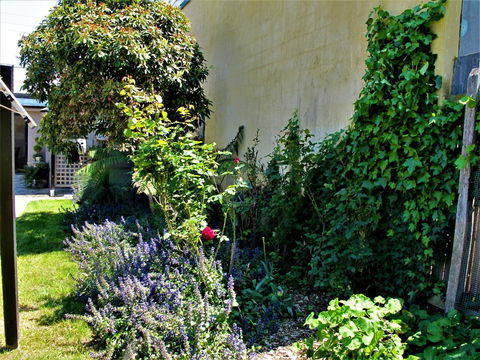 Apple Tree Cottage - Accommodation Melbourne 24