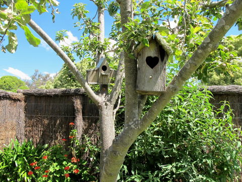 Apple Tree Cottage - Accommodation Melbourne 28