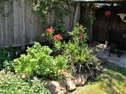 Apple Tree Cottage - Accommodation Melbourne 26