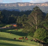Amaroo Valley Springs - Accommodation Melbourne