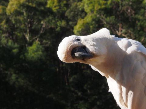 Bundle Hill Cottages - Accommodation Melbourne 1
