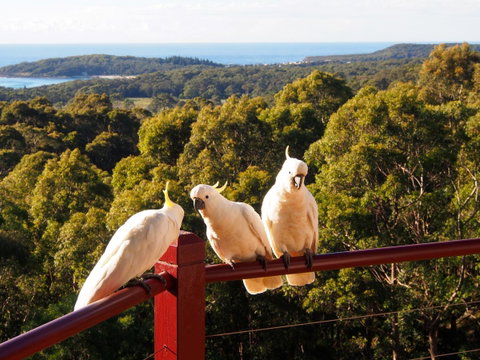 Bundle Hill Cottages - Accommodation Melbourne 2