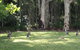 Bundle Hill Cottages - thumb 15