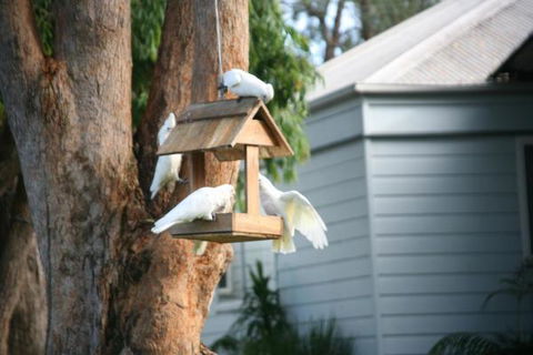 Huskisson Holiday Motel Cabins - Accommodation Melbourne 29
