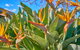 Hunter Oasis - thumb 33