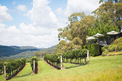 Borrodell Vineyard - Melbourne 4u 12