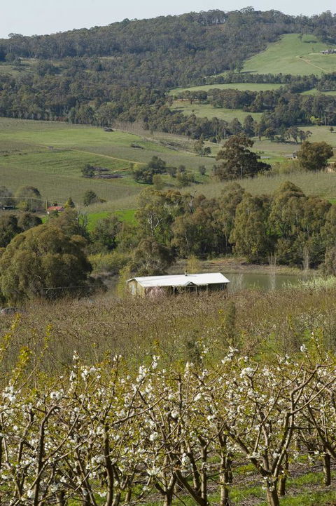 Borrodell Vineyard - Melbourne 4u 30