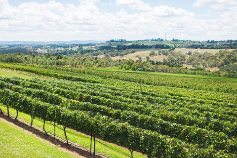 Borrodell Vineyard - Melbourne 4u 29