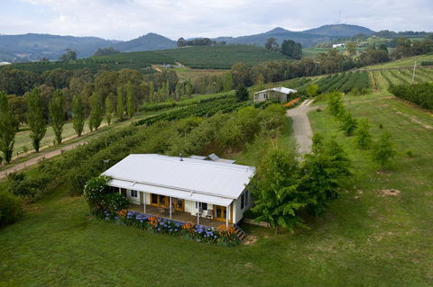 Borrodell Vineyard - Melbourne 4u 2