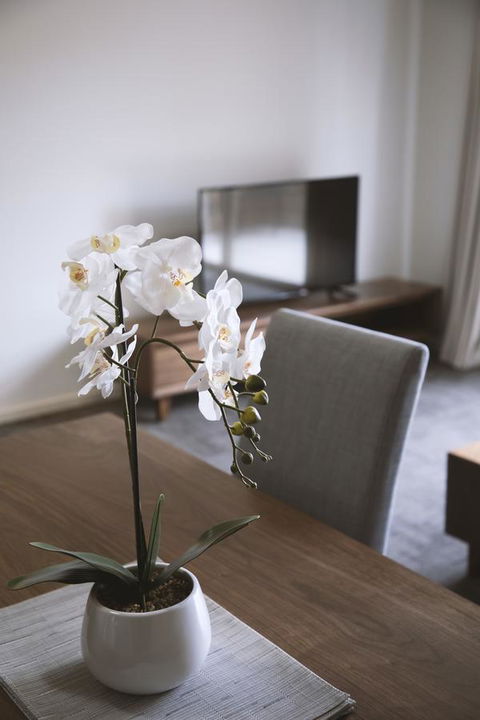 Quest Wagga Wagga - Accommodation Melbourne 11