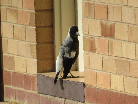 Allonville Gardens Motel - Accommodation Melbourne 34