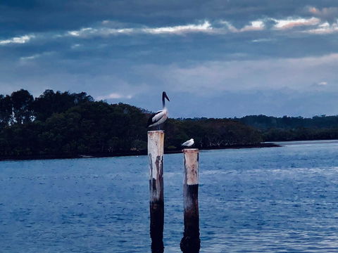 Boathouse Resort (Water Front) - Accommodation Melbourne 15