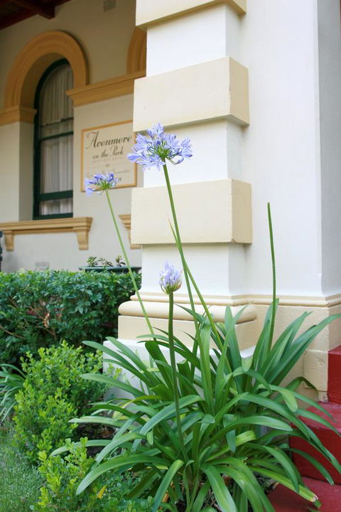 Avonmore On The Park Boutique Hotel - Accommodation Melbourne 15
