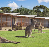 Discovery Parks  Pambula Beach - Accommodation Melbourne