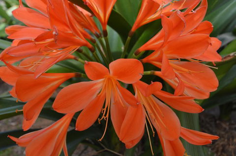 JE Guesthouse, Central To All The Hunter Valley Has To Offer - Accommodation Melbourne 39