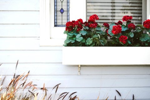 Morpeth Cottage - Accommodation Melbourne 41