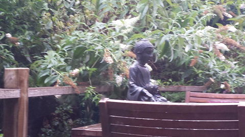 Lark Cottage - Accommodation Melbourne 19