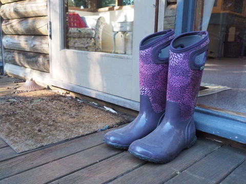 Lark Cottage - Accommodation Melbourne 8