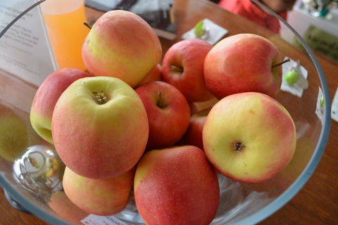 The Apple Inn - Accommodation Melbourne 12