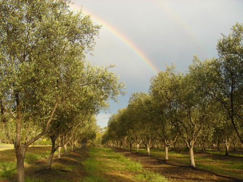 Adina Vineyard - Accommodation Melbourne 19