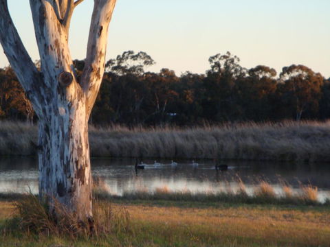 Adina Vineyard - Accommodation Melbourne 10