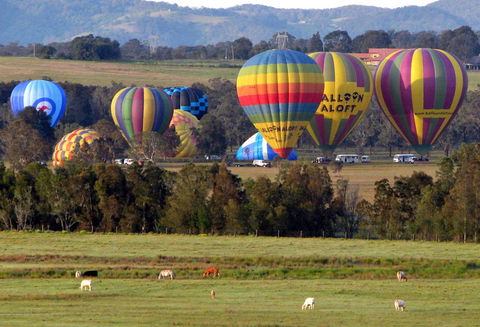 Adina Vineyard - Accommodation Melbourne 9