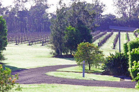 Adina Vineyard - Accommodation Melbourne 14