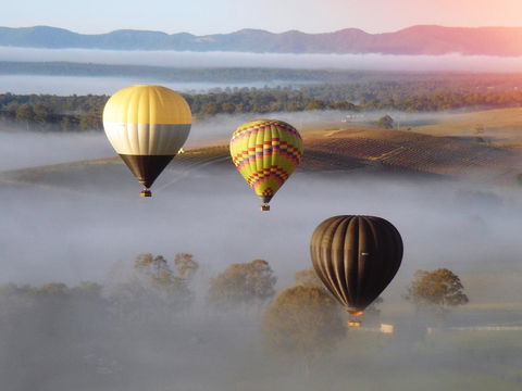 Adina Vineyard - Accommodation Melbourne 21