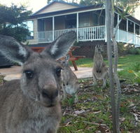 Bush  Bay Cottage - Accommodation Melbourne