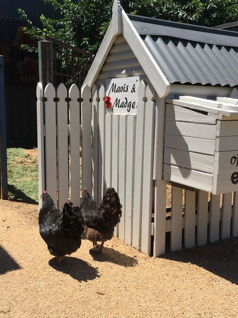 Thelma's Temora - Accommodation Melbourne 12