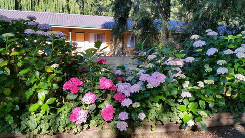 Moruya Motel - Accommodation Melbourne 28