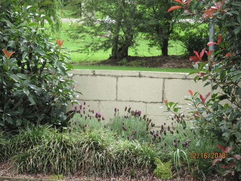 Moruya Motel - Accommodation Melbourne 16